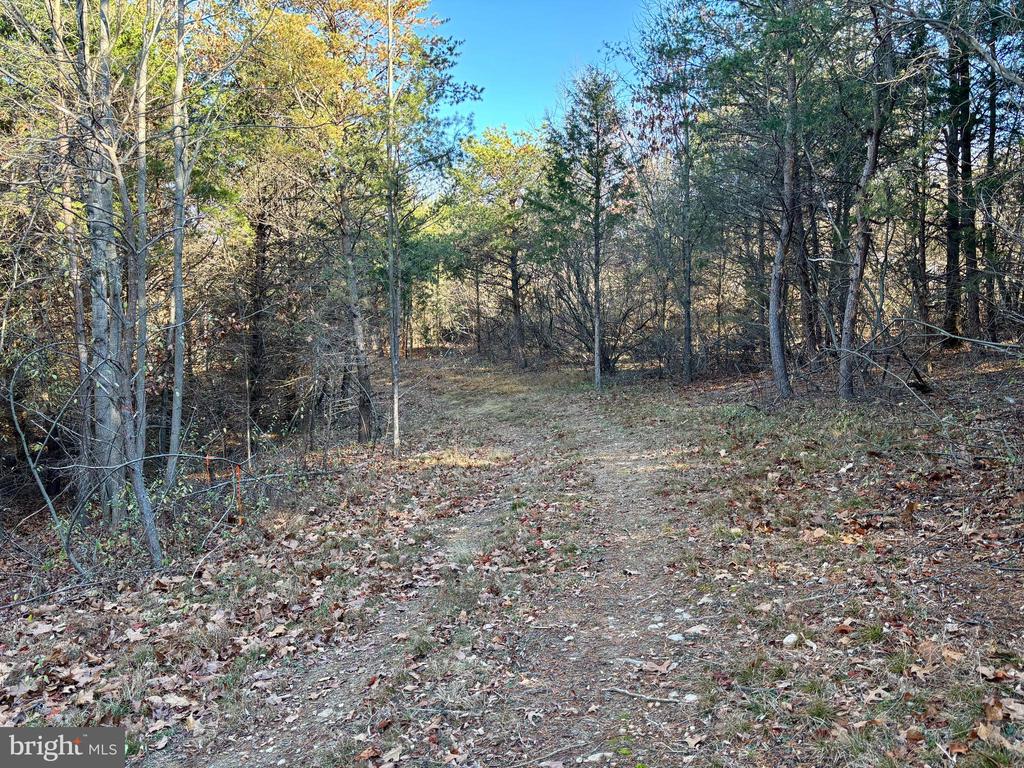 HARPER VALLEY LOT 9A SITE 2, LURAY, Virginia 22835, ,Land,HARPER VALLEY LOT 9A SITE 2,VAPA2006496 MLS # VAPA2006496 HARPER VALLEY LOT 9A SITE 2, LURAY, Virginia 22835, ,Land,HARPER VALLEY LOT 9A SITE 2,VAPA2006496 MLS # VAPA2006496