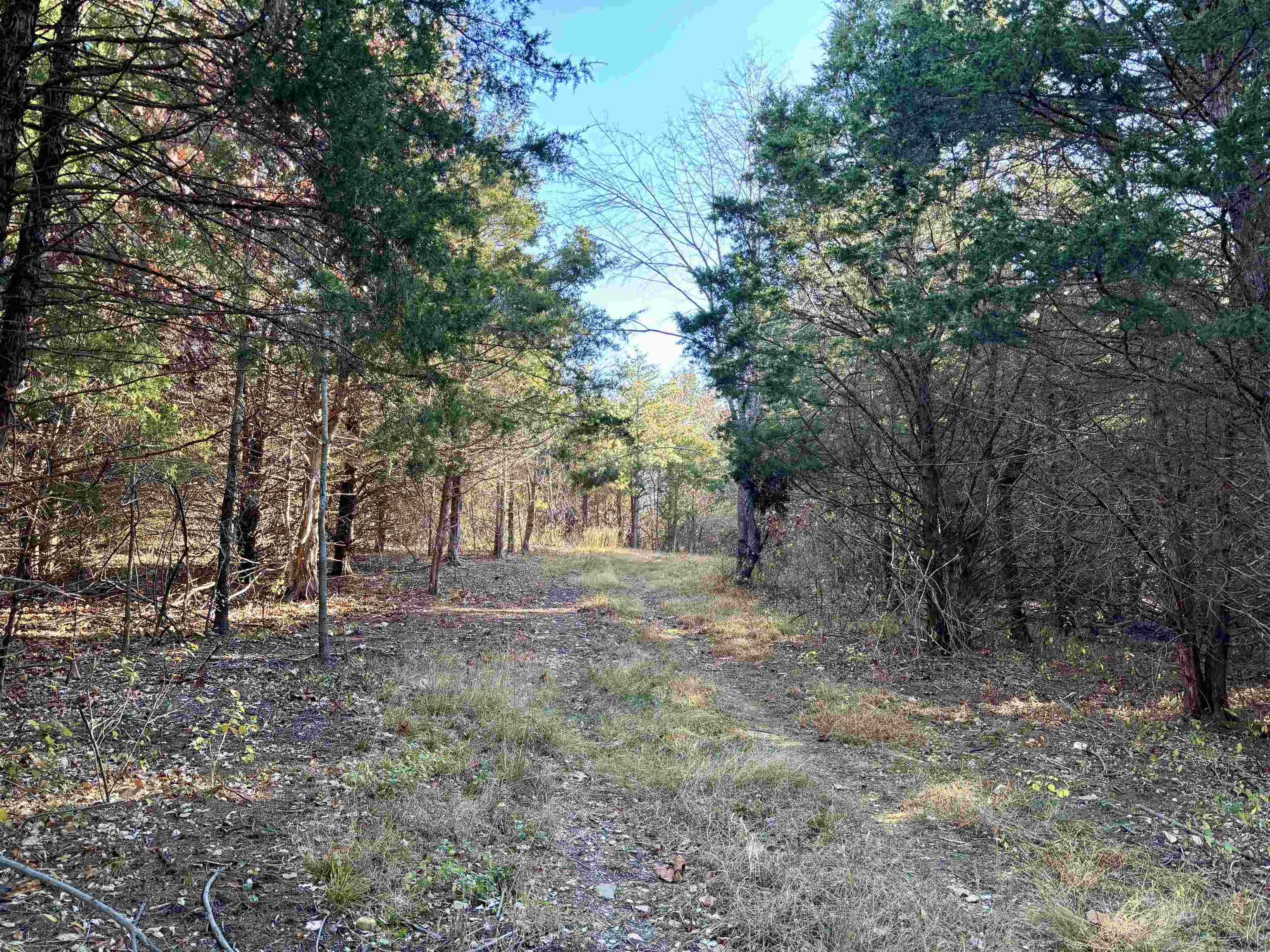 HARPER VALLEY RD, LURAY, Virginia 22835, ,Land,HARPER VALLEY RD,677736 MLS # 677736 HARPER VALLEY RD, LURAY, Virginia 22835, ,Land,HARPER VALLEY RD,677736 MLS # 677736