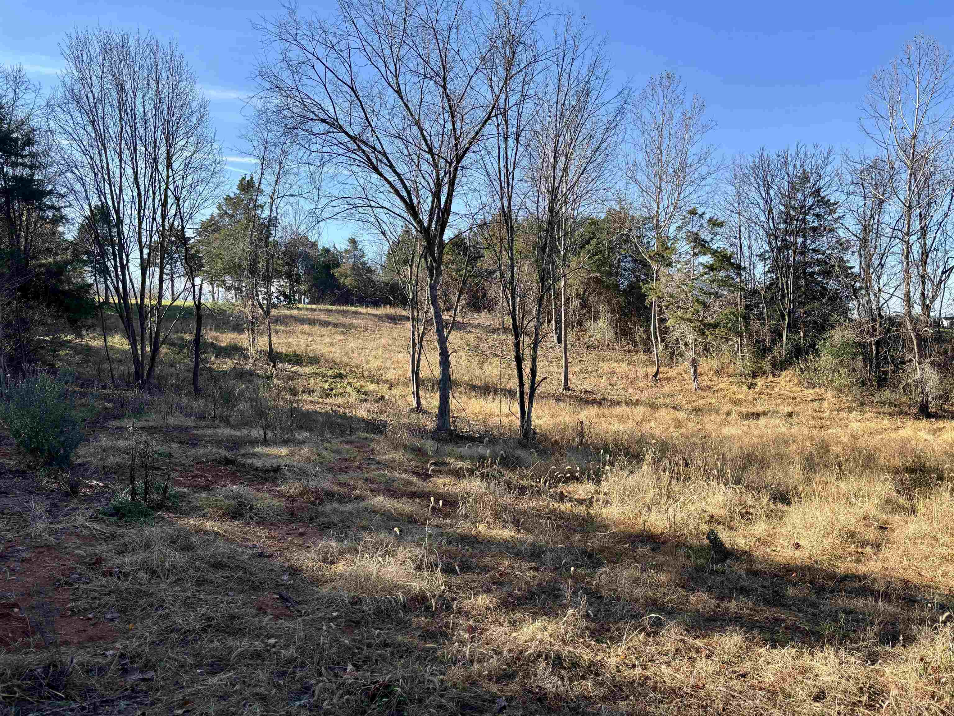 HARPER VALLEY RD, LURAY, Virginia 22835, ,Land,HARPER VALLEY RD,677736 MLS # 677736 HARPER VALLEY RD, LURAY, Virginia 22835, ,Land,HARPER VALLEY RD,677736 MLS # 677736