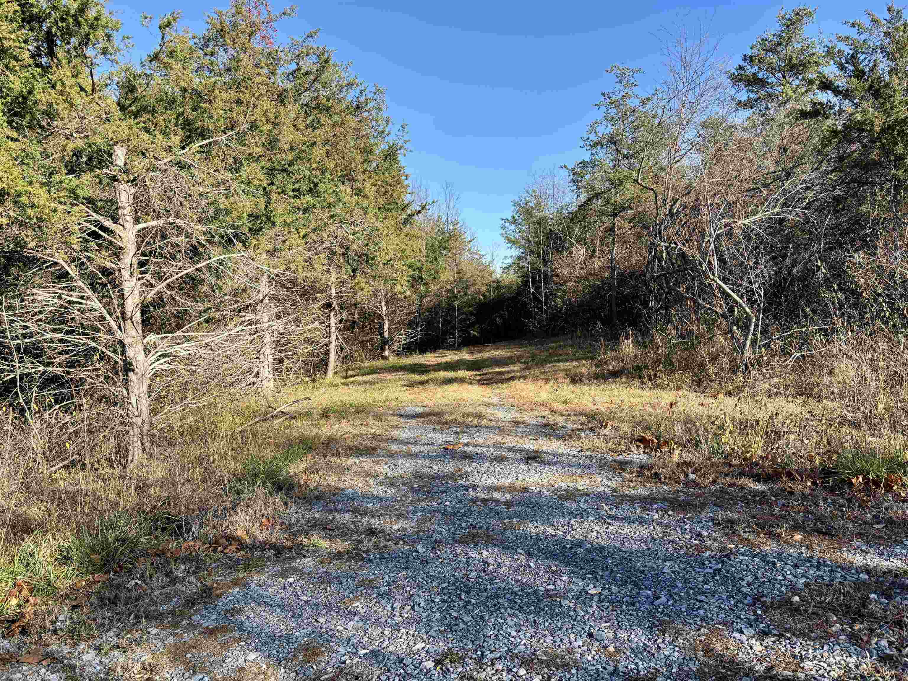 HARPER VALLEY RD, LURAY, Virginia 22835, ,Land,HARPER VALLEY RD,677736 MLS # 677736 HARPER VALLEY RD, LURAY, Virginia 22835, ,Land,HARPER VALLEY RD,677736 MLS # 677736
