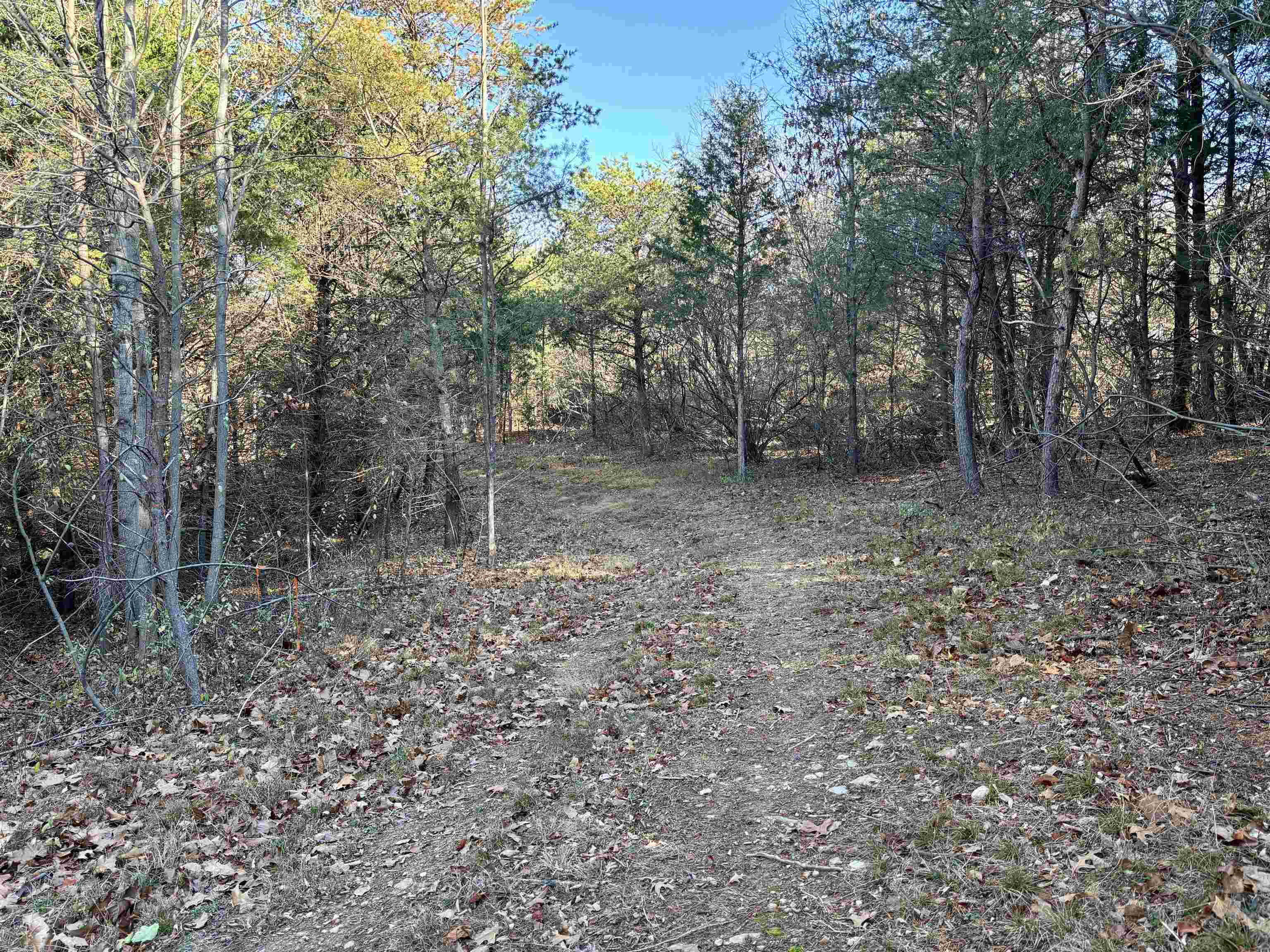 HARPER VALLEY RD, LURAY, Virginia 22835, ,Land,HARPER VALLEY RD,677736 MLS # 677736 HARPER VALLEY RD, LURAY, Virginia 22835, ,Land,HARPER VALLEY RD,677736 MLS # 677736