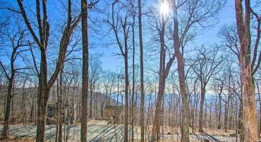 138 OAK LN, WINTERGREEN RESORT, Virginia 22967, 3 Bedrooms Bedrooms, ,2 BathroomsBathrooms,Residential,138 OAK LN,677731 MLS # 677731