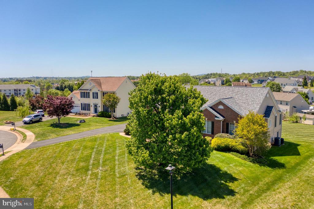 14308 S HALL CT, CULPEPER, Virginia 22701, 3 Bedrooms Bedrooms, ,2 BathroomsBathrooms,Residential,14308 S HALL CT,VACU2013566 MLS # VACU2013566 14308 S HALL CT, CULPEPER, Virginia 22701, 3 Bedrooms Bedrooms, ,2 BathroomsBathrooms,Residential,14308 S HALL CT,VACU2013566 MLS # VACU2013566