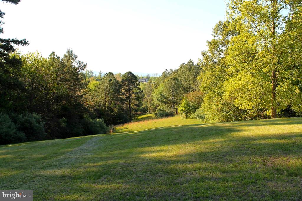 12006 LORD WILLING DR, CULPEPER, Virginia 22701, 3 Bedrooms Bedrooms, ,3 BathroomsBathrooms,Residential,12006 LORD WILLING DR,VACU2013656 MLS # VACU2013656 12006 LORD WILLING DR, CULPEPER, Virginia 22701, 3 Bedrooms Bedrooms, ,3 BathroomsBathrooms,Residential,12006 LORD WILLING DR,VACU2013656 MLS # VACU2013656