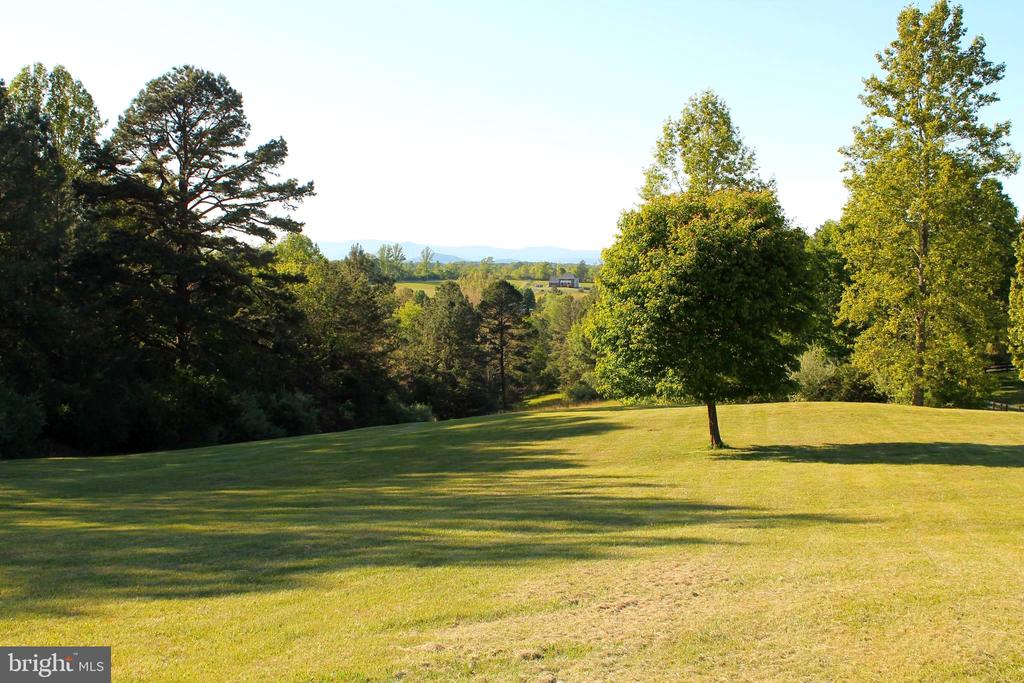 12006 LORD WILLING DR, CULPEPER, Virginia 22701, 3 Bedrooms Bedrooms, ,3 BathroomsBathrooms,Residential,12006 LORD WILLING DR,VACU2013656 MLS # VACU2013656 12006 LORD WILLING DR, CULPEPER, Virginia 22701, 3 Bedrooms Bedrooms, ,3 BathroomsBathrooms,Residential,12006 LORD WILLING DR,VACU2013656 MLS # VACU2013656
