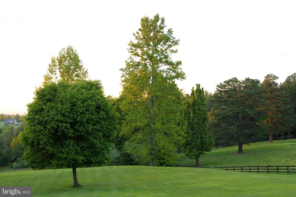 12006 LORD WILLING DR, CULPEPER, Virginia 22701, 3 Bedrooms Bedrooms, ,3 BathroomsBathrooms,Residential,12006 LORD WILLING DR,VACU2013656 MLS # VACU2013656 12006 LORD WILLING DR, CULPEPER, Virginia 22701, 3 Bedrooms Bedrooms, ,3 BathroomsBathrooms,Residential,12006 LORD WILLING DR,VACU2013656 MLS # VACU2013656