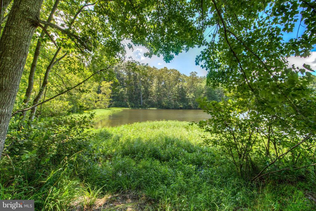 12400 SALIENT LN, SPOTSYLVANIA, Virginia 22551, 4 Bedrooms Bedrooms, ,2 BathroomsBathrooms,Residential,12400 SALIENT LN,VASP2042386 MLS # VASP2042386 12400 SALIENT LN, SPOTSYLVANIA, Virginia 22551, 4 Bedrooms Bedrooms, ,2 BathroomsBathrooms,Residential,12400 SALIENT LN,VASP2042386 MLS # VASP2042386