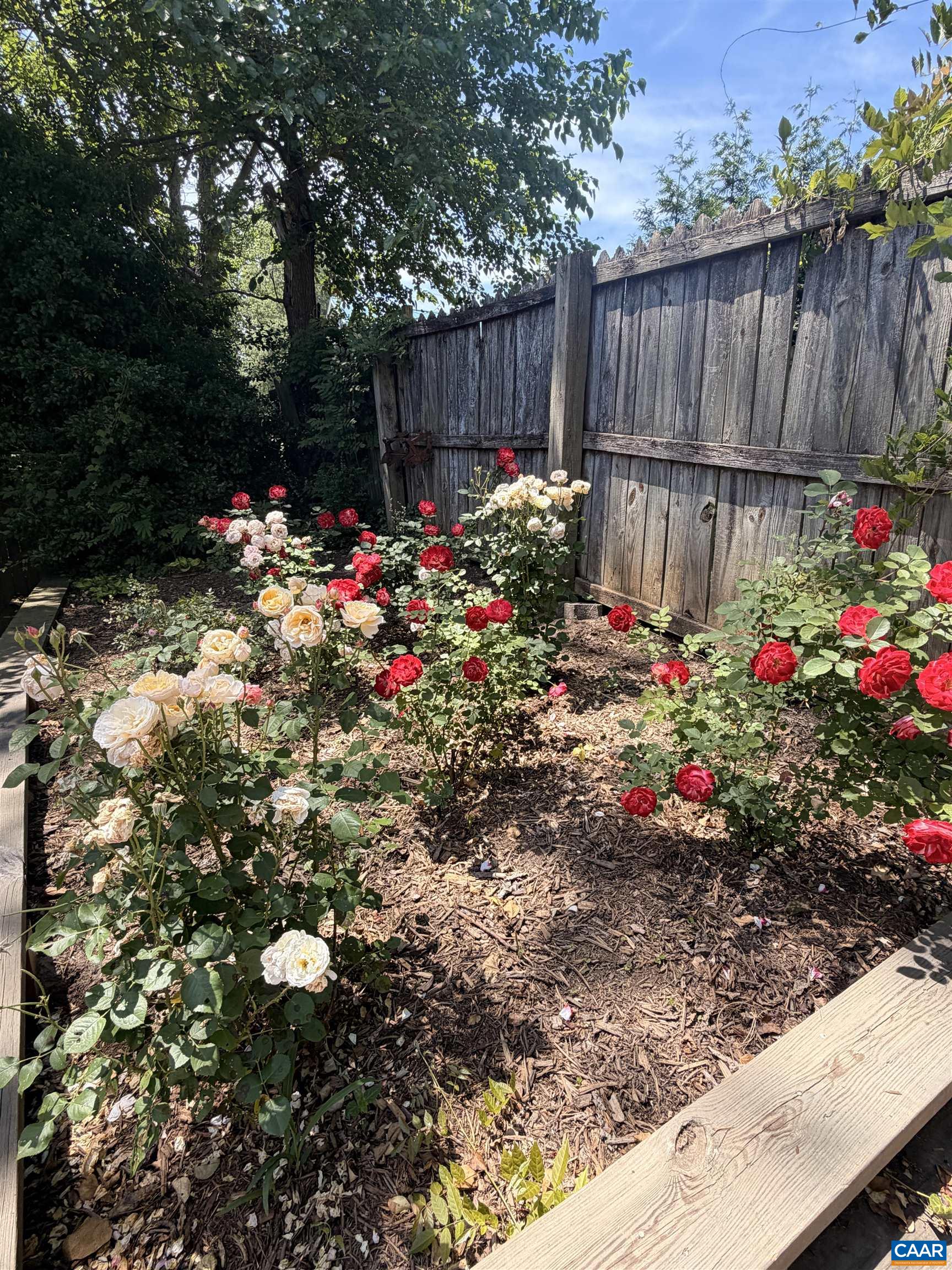 616 BROWN ST, CHARLOTTESVILLE, Virginia 22903, 2 Bedrooms Bedrooms, ,1 BathroomBathrooms,Residential,616 BROWN ST,677625 MLS # 677625 616 BROWN ST, CHARLOTTESVILLE, Virginia 22903, 2 Bedrooms Bedrooms, ,1 BathroomBathrooms,Residential,616 BROWN ST,677625 MLS # 677625
