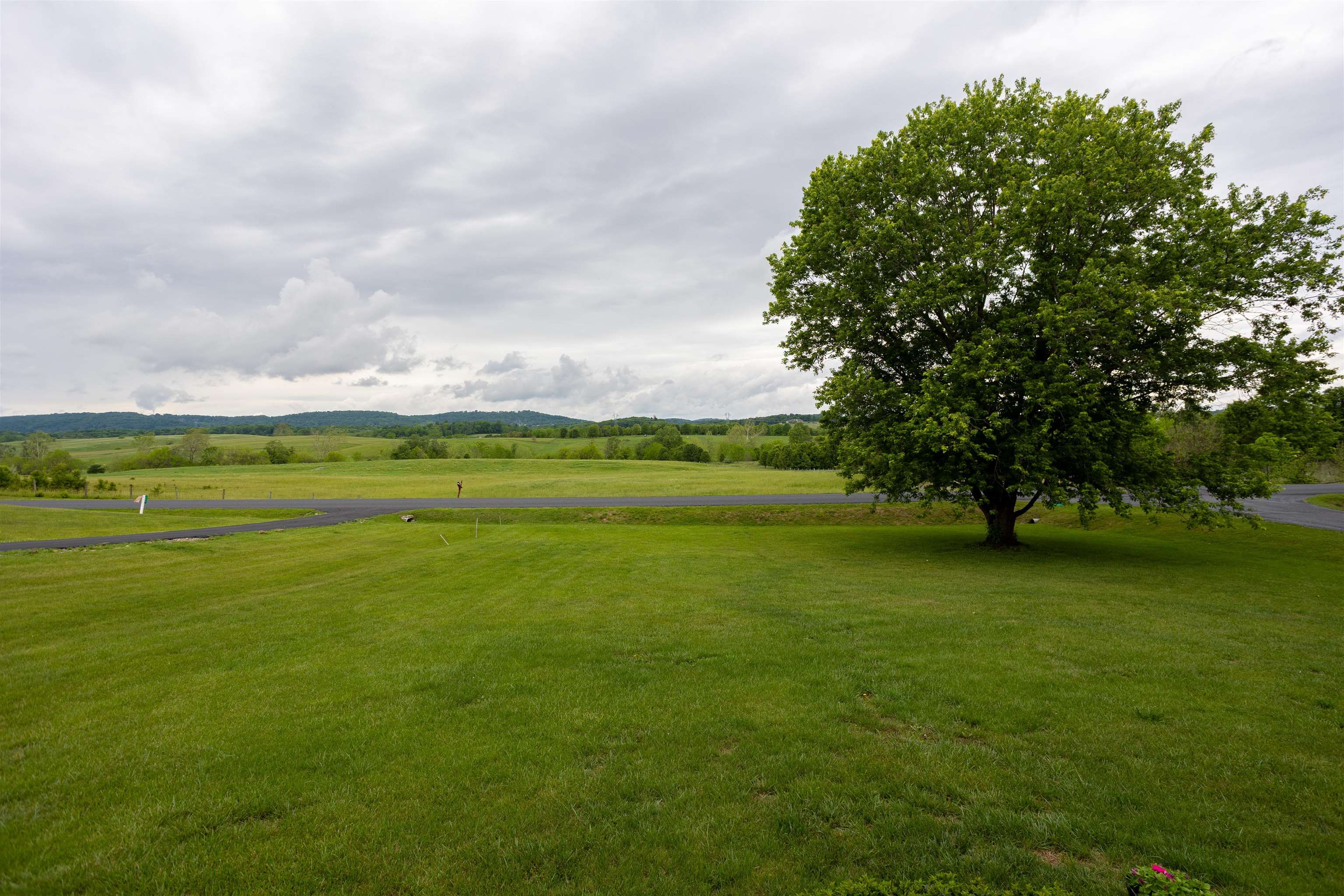 11 MEADOWBROOK DR, STUARTS DRAFT, Virginia 24477, 3 Bedrooms Bedrooms, ,2 BathroomsBathrooms,Residential,11 MEADOWBROOK DR,677750 MLS # 677750 11 MEADOWBROOK DR, STUARTS DRAFT, Virginia 24477, 3 Bedrooms Bedrooms, ,2 BathroomsBathrooms,Residential,11 MEADOWBROOK DR,677750 MLS # 677750