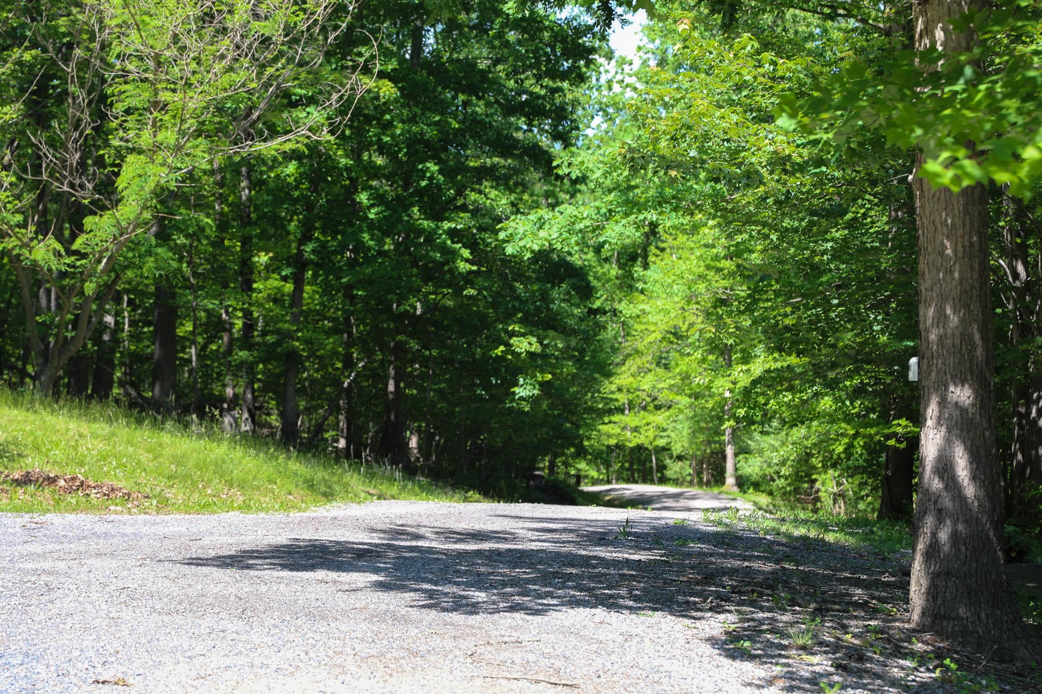 113 CALF MOUNTAIN RD, WAYNESBORO, Virginia 22980, 3 Bedrooms Bedrooms, ,2 BathroomsBathrooms,Residential,113 CALF MOUNTAIN RD,677752 MLS # 677752 113 CALF MOUNTAIN RD, WAYNESBORO, Virginia 22980, 3 Bedrooms Bedrooms, ,2 BathroomsBathrooms,Residential,113 CALF MOUNTAIN RD,677752 MLS # 677752