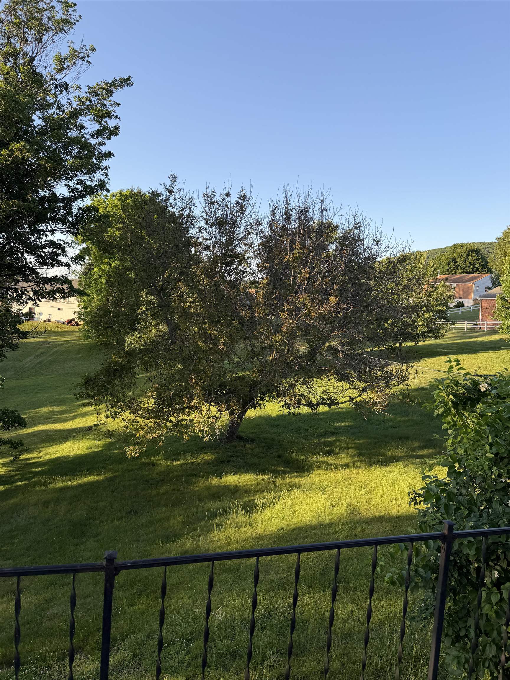 406 LINDEN DR, STAUNTON, Virginia 24401, 4 Bedrooms Bedrooms, ,2 BathroomsBathrooms,Residential,406 LINDEN DR,677757 MLS # 677757