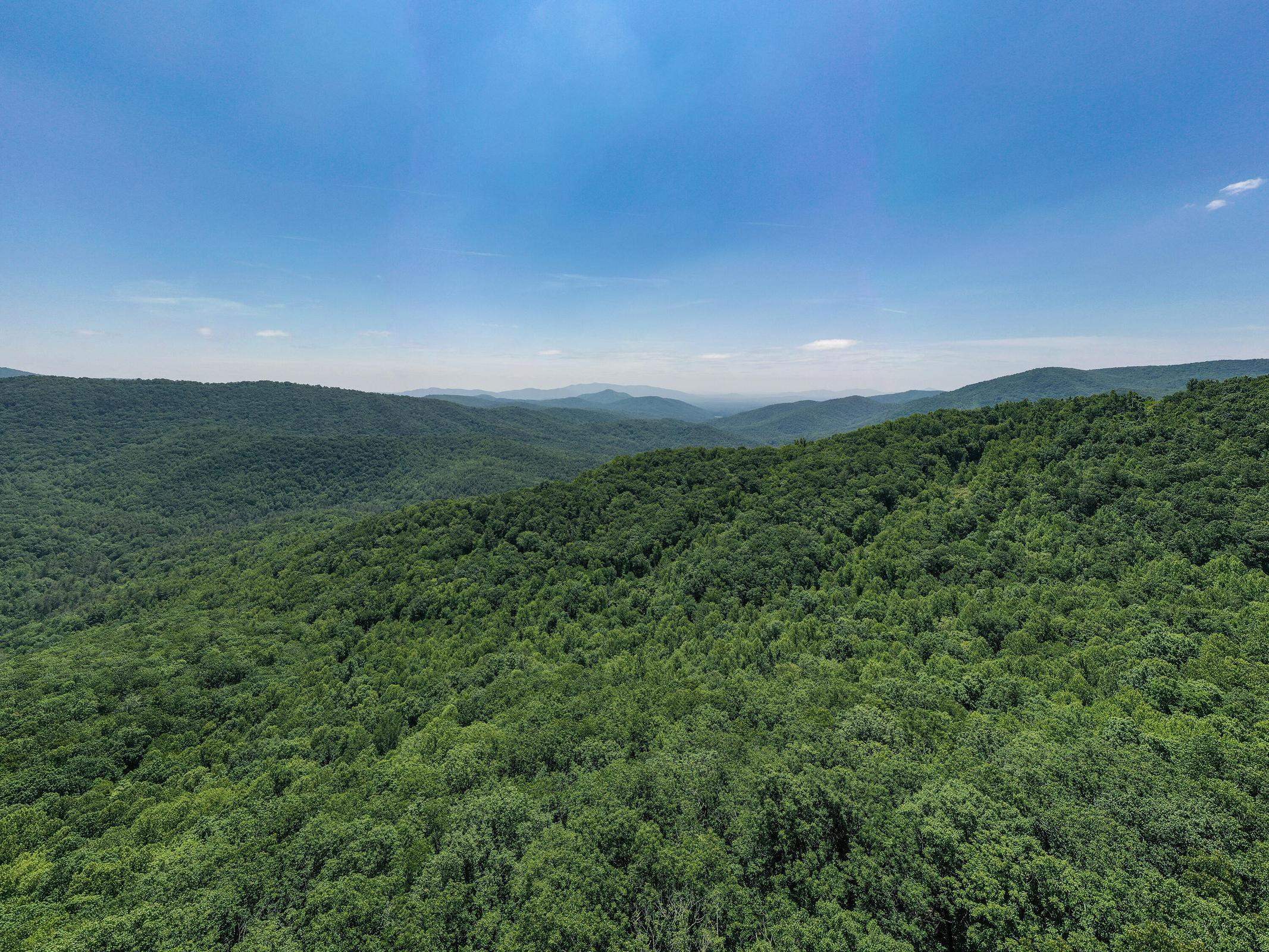 Blue Ridge Mountain views available after the leaves fall. Blue Ridge Mountain views available after the leaves fall.