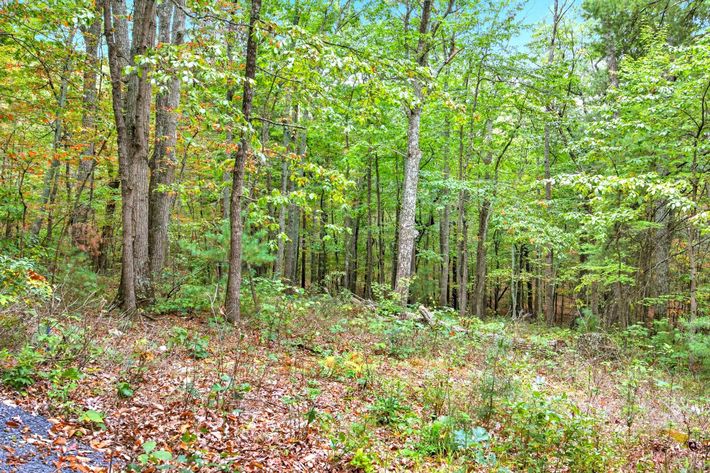 974 SUNDANCE RETREAT LN, NEW MARKET, Virginia 22844, 2 Bedrooms Bedrooms, ,1 BathroomBathrooms,Residential,974 SUNDANCE RETREAT LN,677762 MLS # 677762