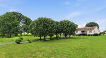 9402 CEDAR HOLLOW RD, UNIONVILLE, Virginia 22567, 3 Bedrooms Bedrooms, ,2 BathroomsBathrooms,Residential,Home Sweet Home,9402 CEDAR HOLLOW RD,677764 MLS # 677764