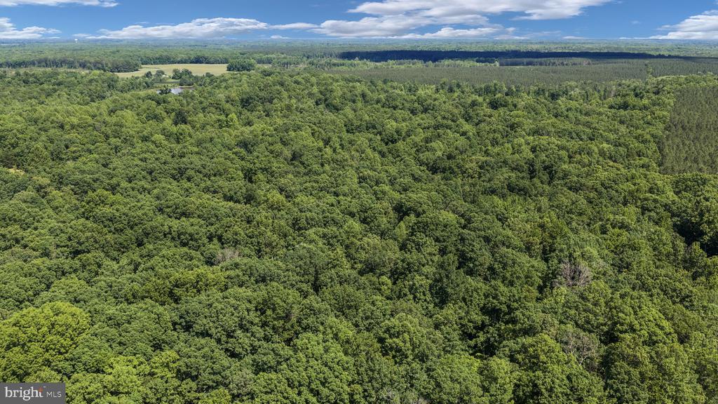 CUSTERS TRCE, SPOTSYLVANIA, Virginia 22553, ,Land,CUSTERS TRCE,VASP2042426 MLS # VASP2042426
