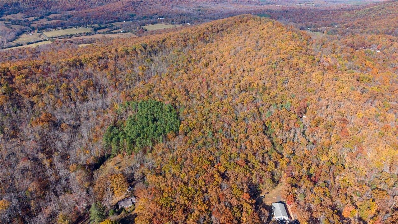 TBD DEER RUN LN, SHIPMAN, Virginia 22971, ,Land,TBD DEER RUN LN,670853 MLS # 670853 TBD DEER RUN LN, SHIPMAN, Virginia 22971, ,Land,TBD DEER RUN LN,670853 MLS # 670853