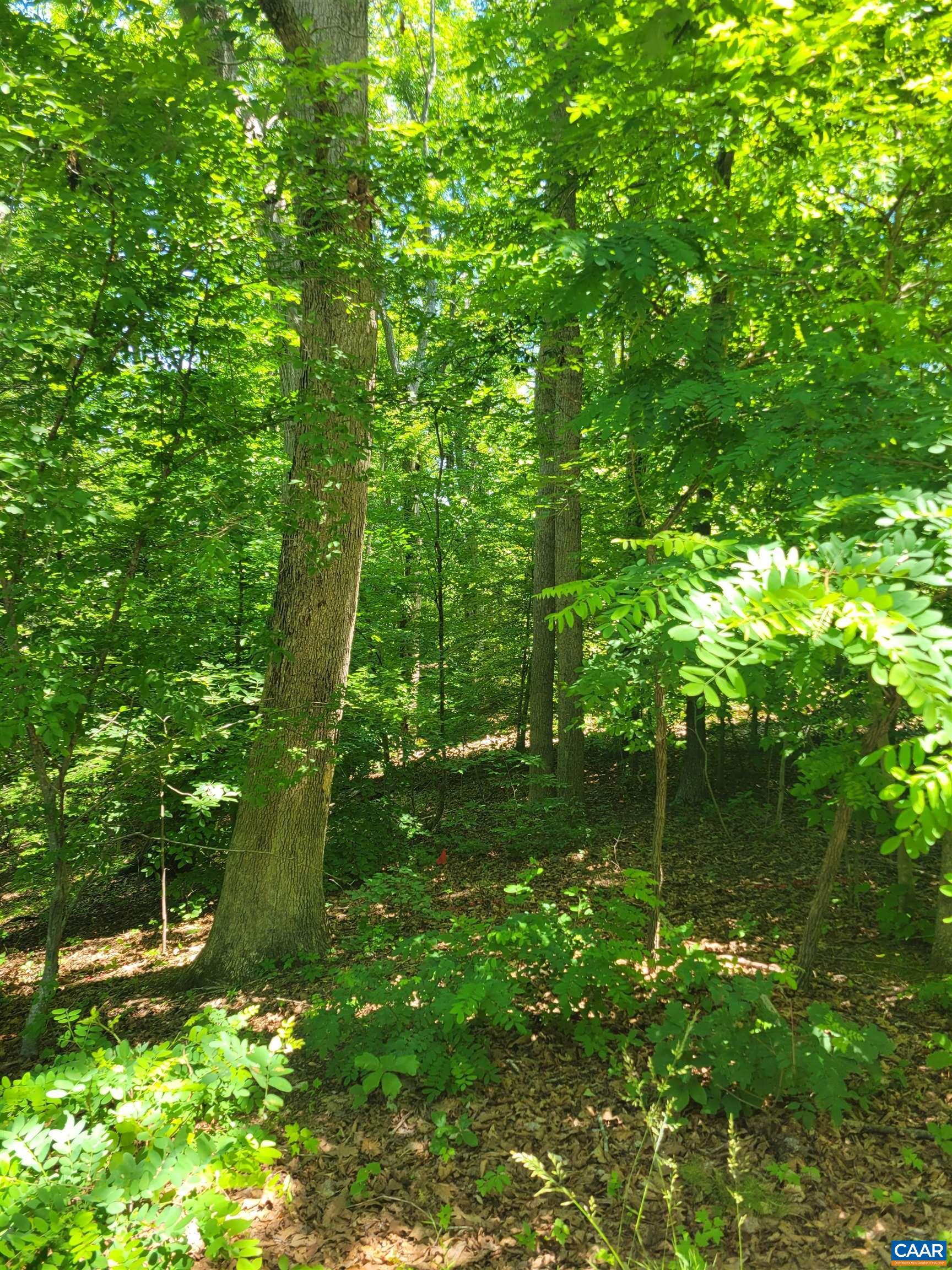 8 MECHUNK TER, PALMYRA, Virginia 22963, ,Land,8 MECHUNK TER,677774 MLS # 677774