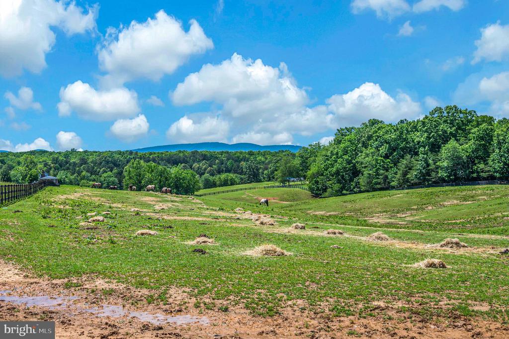 1803 SHENANDOAH CROSSING DR, GORDONSVILLE, Virginia 22942, 3 Bedrooms Bedrooms, ,2 BathroomsBathrooms,Residential,1803 SHENANDOAH CROSSING DR,VALA2009924 MLS # VALA2009924