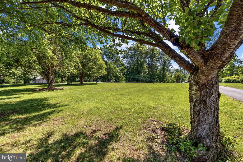 6216 BRYN LN, MINERAL, Virginia 23117, 3 Bedrooms Bedrooms, ,2 BathroomsBathrooms,Residential,6216 BRYN LN,VASP2042306 MLS # VASP2042306