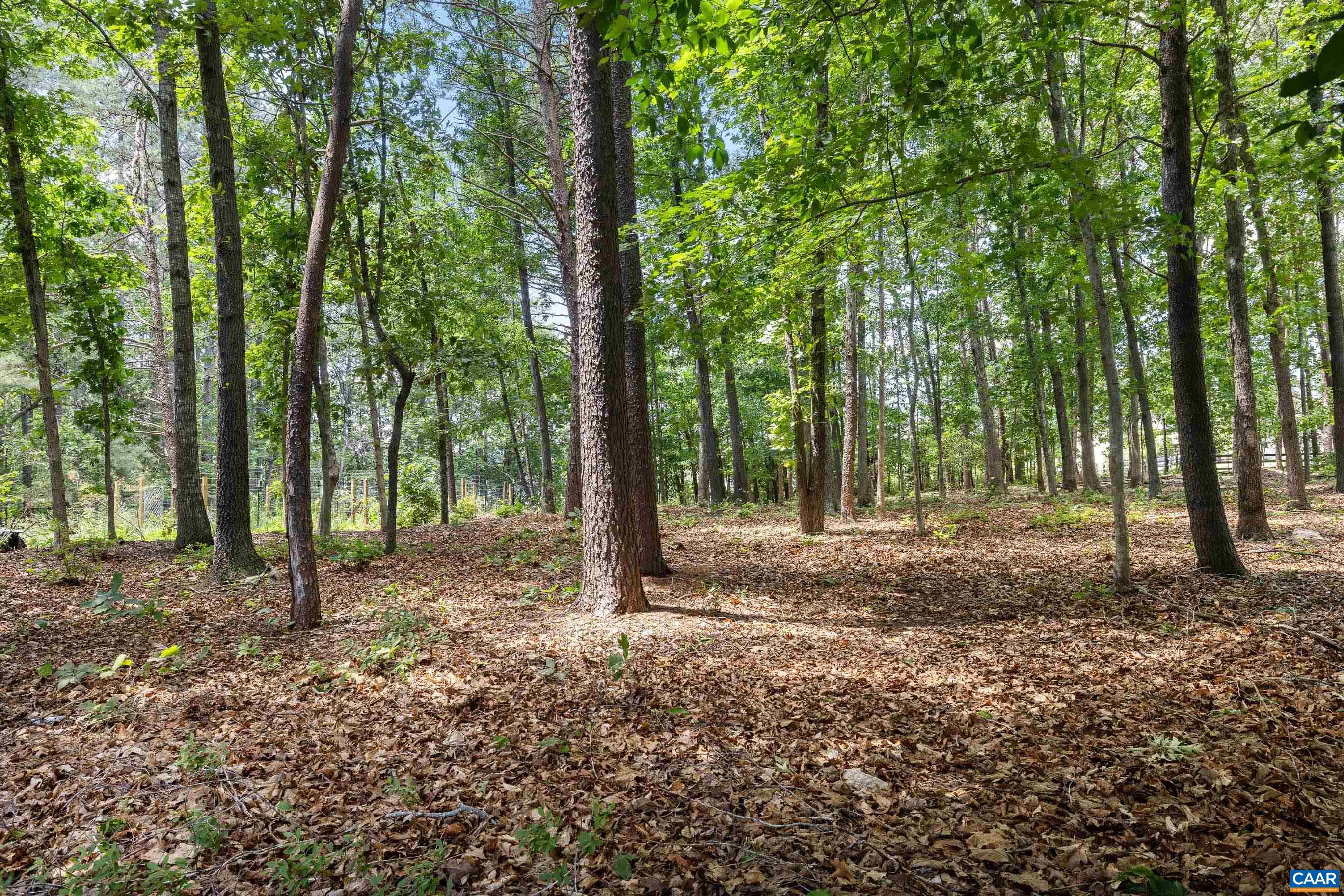 165 HEMLOCK LN, BARBOURSVILLE, Virginia 22923, 3 Bedrooms Bedrooms, ,3 BathroomsBathrooms,Residential,165 HEMLOCK LN,677804 MLS # 677804 165 HEMLOCK LN, BARBOURSVILLE, Virginia 22923, 3 Bedrooms Bedrooms, ,3 BathroomsBathrooms,Residential,165 HEMLOCK LN,677804 MLS # 677804