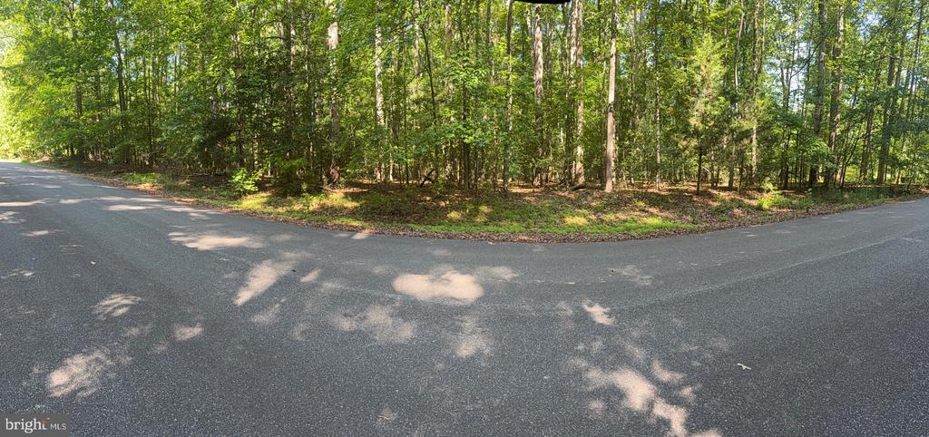 7121 SNOW HILL DR, SPOTSYLVANIA, Virginia 22551, ,Land,7121 SNOW HILL DR,VASP2042428 MLS # VASP2042428