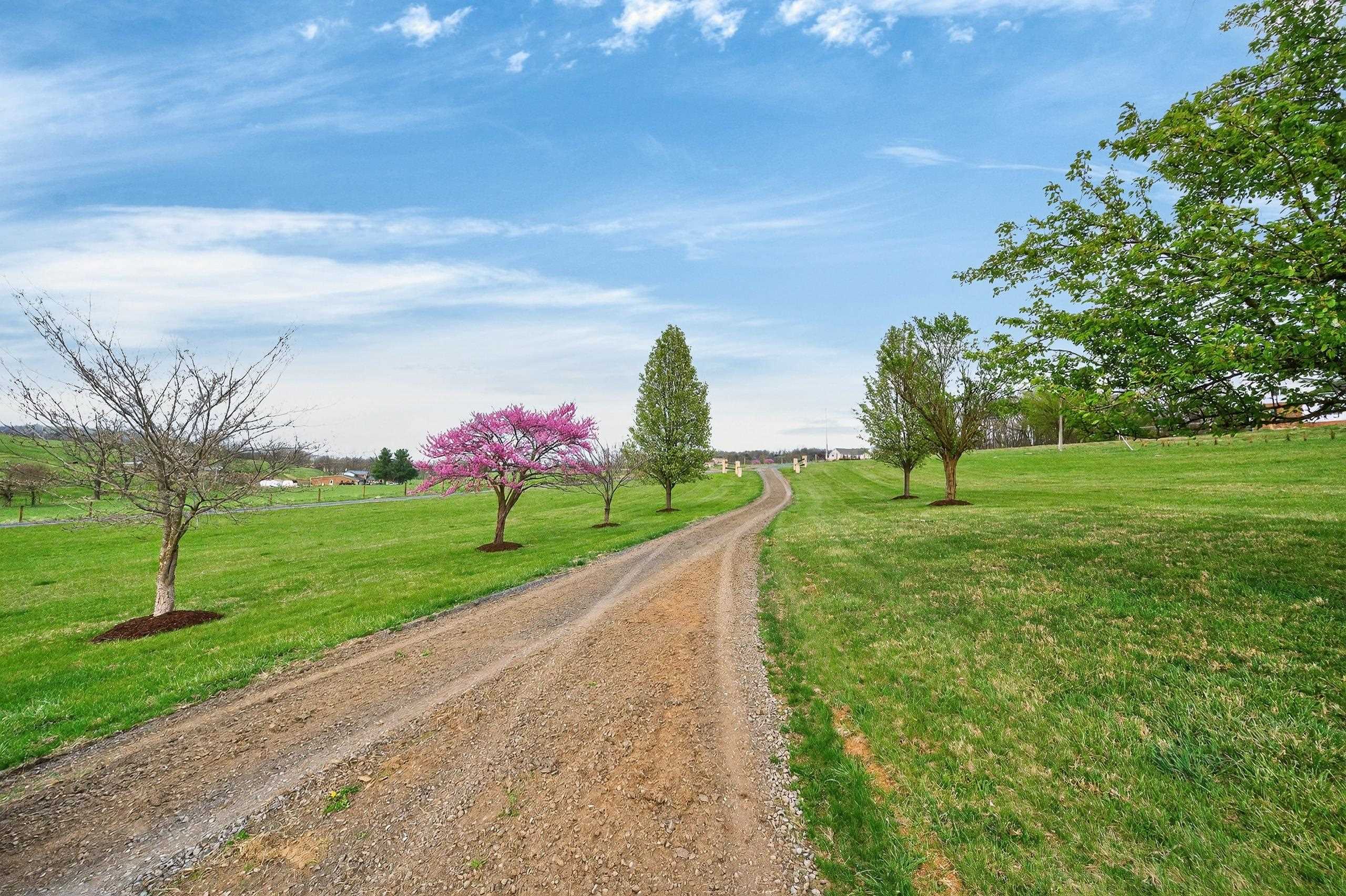 363 DAVIS LN, NEW MARKET, Virginia 22844, 3 Bedrooms Bedrooms, ,3 BathroomsBathrooms,Residential,363 DAVIS LN,677809 MLS # 677809