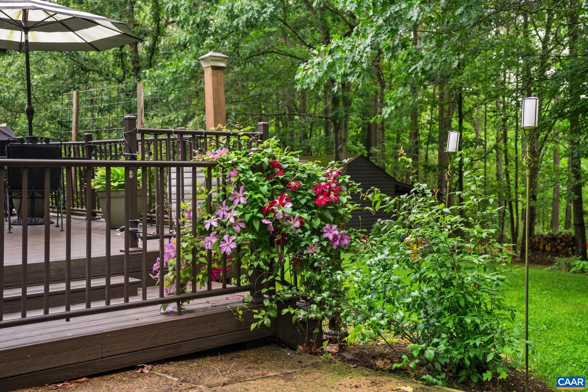 3309 MARTIN KINGS RD, CHARLOTTESVILLE, Virginia 22902, 4 Bedrooms Bedrooms, ,3 BathroomsBathrooms,Residential,3309 MARTIN KINGS RD,677814 MLS # 677814 3309 MARTIN KINGS RD, CHARLOTTESVILLE, Virginia 22902, 4 Bedrooms Bedrooms, ,3 BathroomsBathrooms,Residential,3309 MARTIN KINGS RD,677814 MLS # 677814