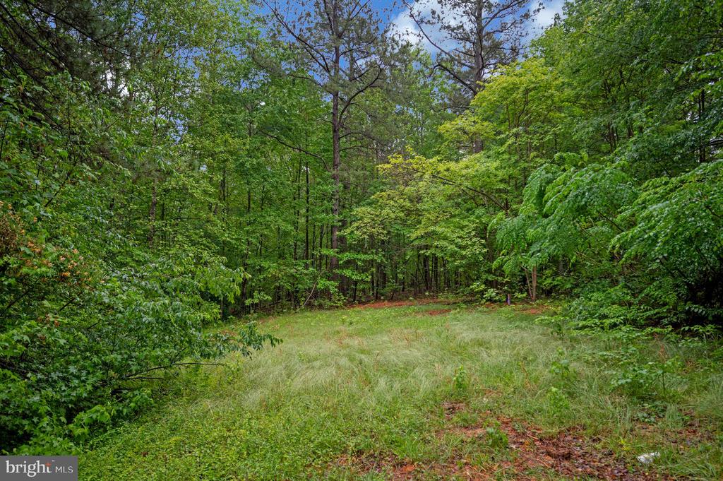 1438 EASTHAM RD, BUMPASS, Virginia 23024, 3 Bedrooms Bedrooms, ,2 BathroomsBathrooms,Residential,1438 EASTHAM RD,VALA2009980 MLS # VALA2009980