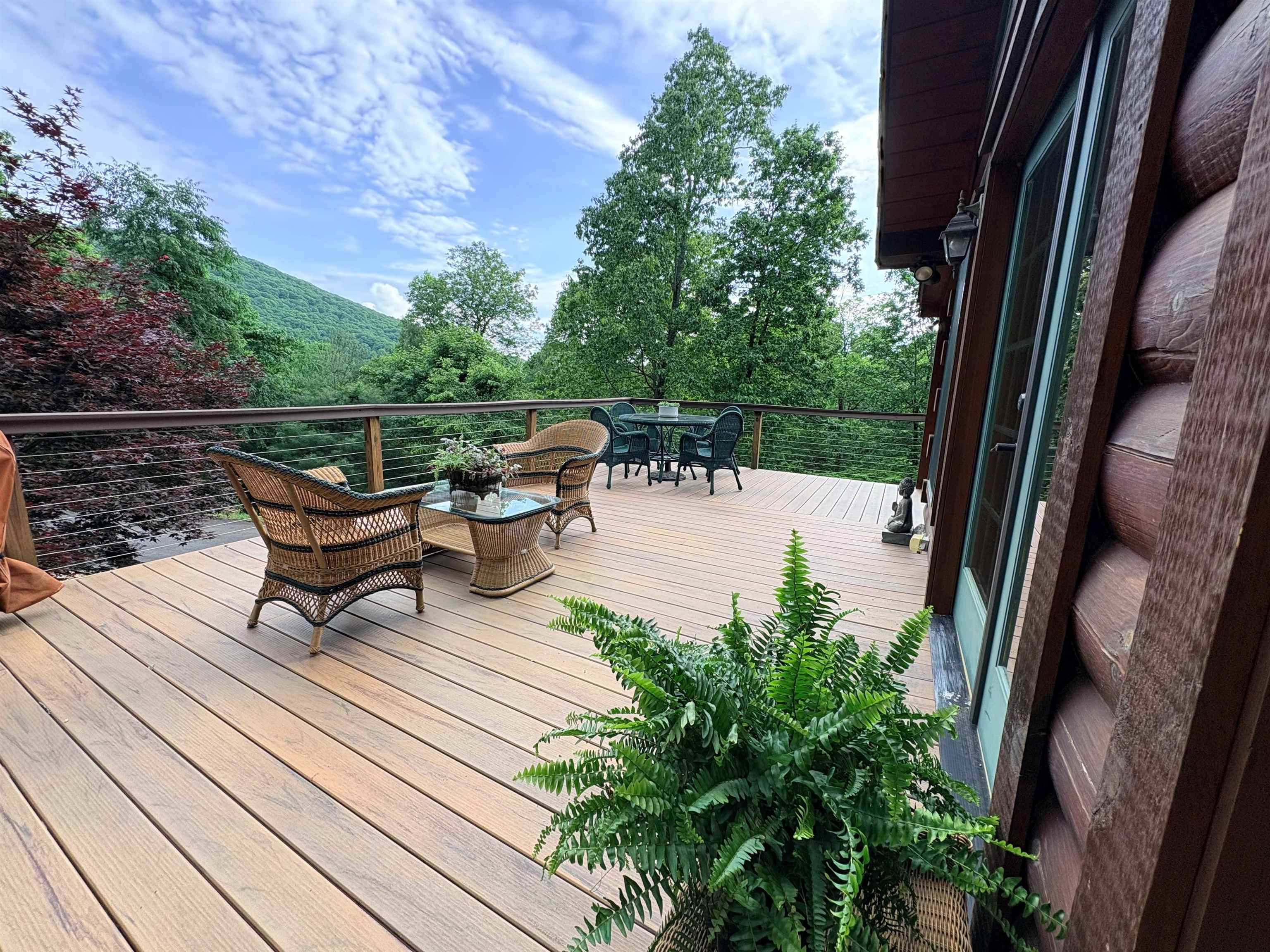 273 CADDIS LN, WARM SPRINGS, Virginia 24484, 4 Bedrooms Bedrooms, ,4 BathroomsBathrooms,Residential,273 CADDIS LN,677821 MLS # 677821