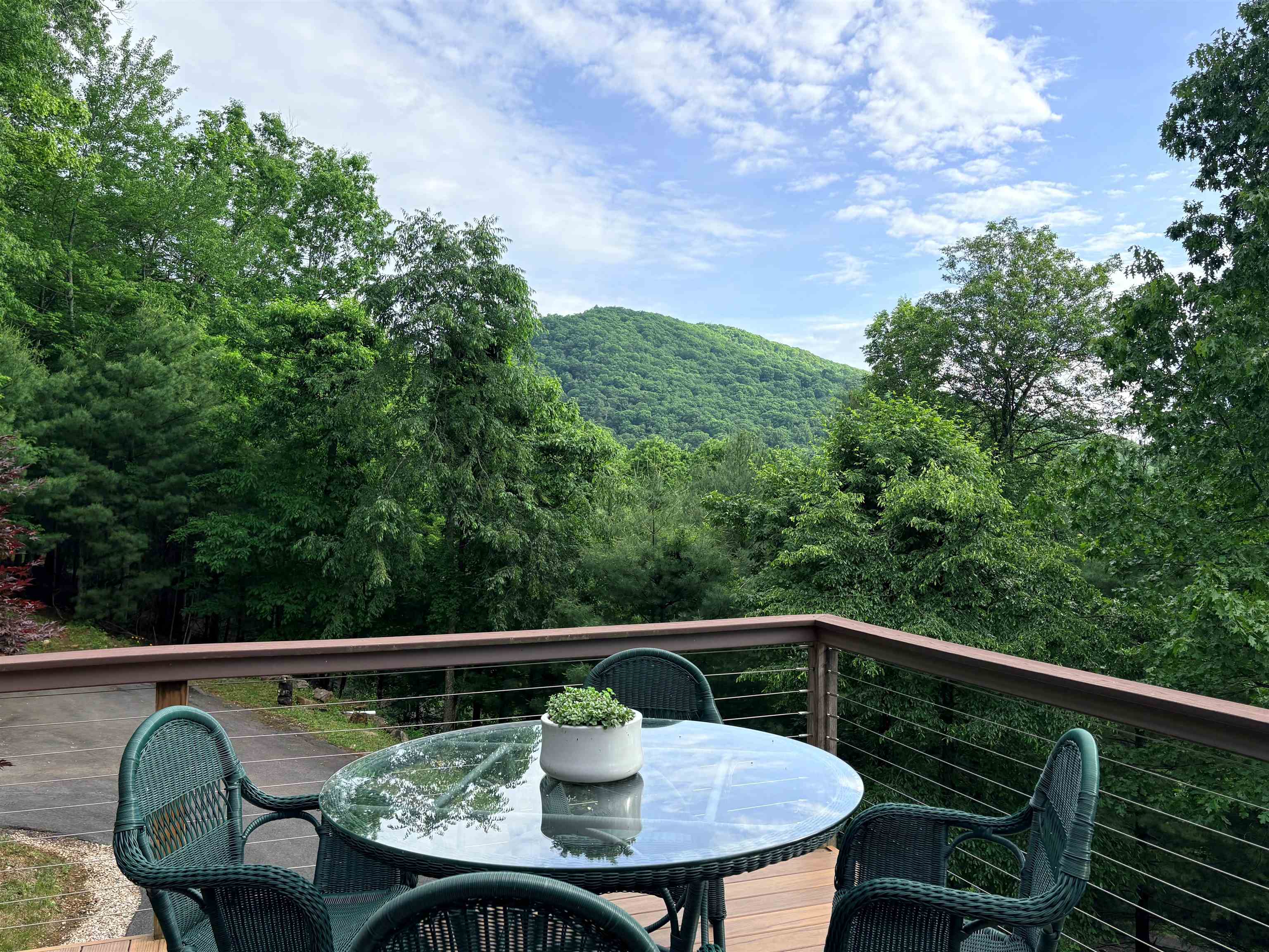 273 CADDIS LN, WARM SPRINGS, Virginia 24484, 4 Bedrooms Bedrooms, ,4 BathroomsBathrooms,Residential,273 CADDIS LN,677821 MLS # 677821