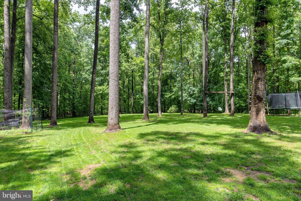 1425 JACKS SHOP RD, ROCHELLE, Virginia 22738, 3 Bedrooms Bedrooms, ,2 BathroomsBathrooms,Residential,1425 JACKS SHOP RD,VAMA2002804 MLS # VAMA2002804