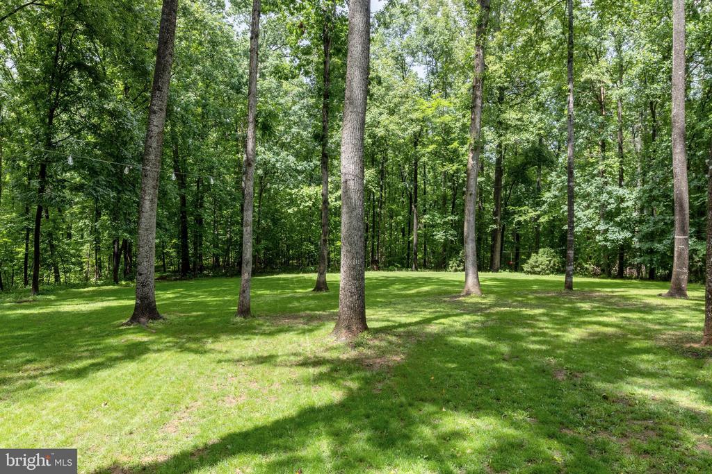1425 JACKS SHOP RD, ROCHELLE, Virginia 22738, 3 Bedrooms Bedrooms, ,2 BathroomsBathrooms,Residential,1425 JACKS SHOP RD,VAMA2002804 MLS # VAMA2002804