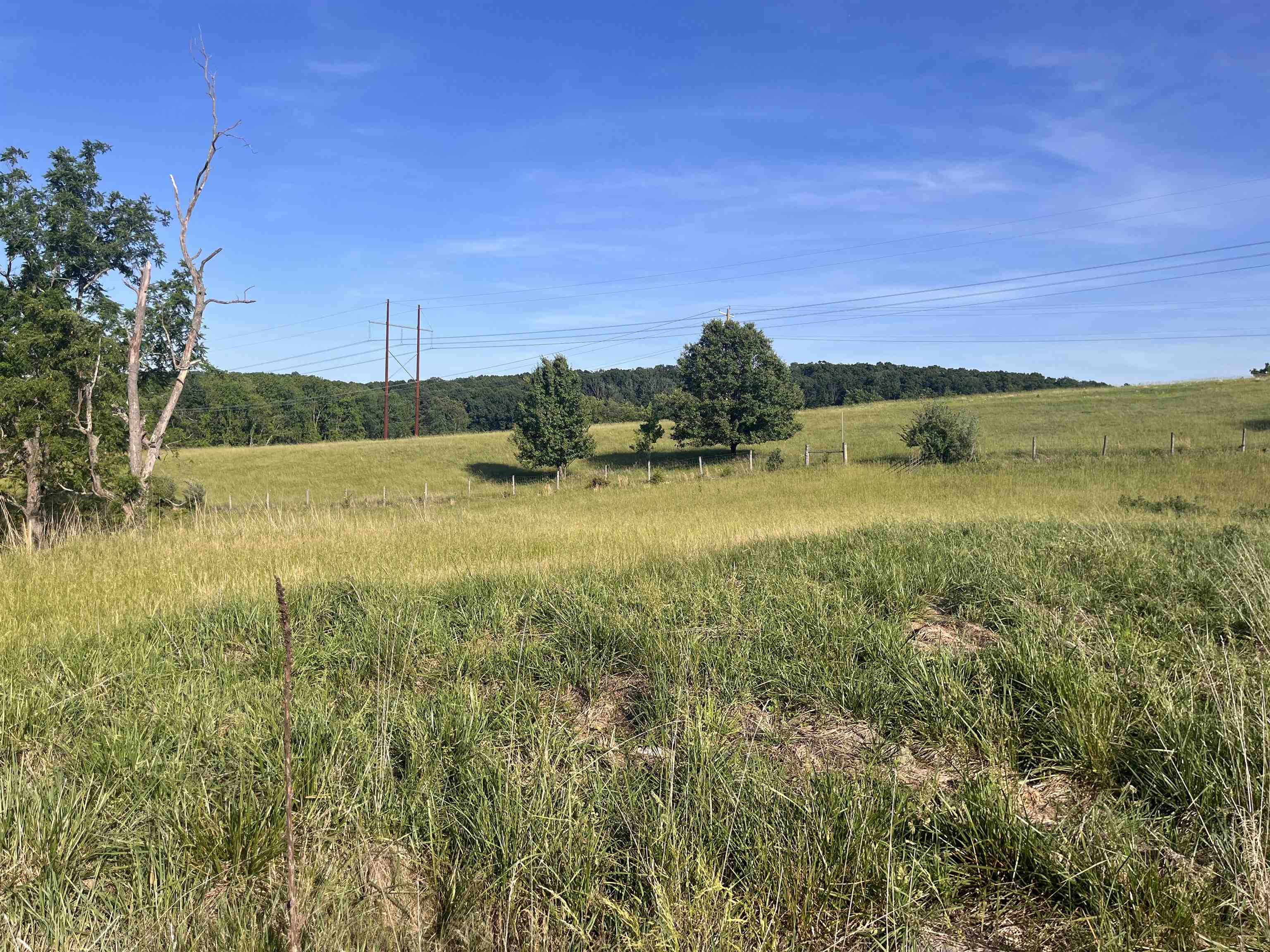 TBD GALENA RD, STAUNTON, Virginia 24401, ,Land,TBD GALENA RD,677827 MLS # 677827