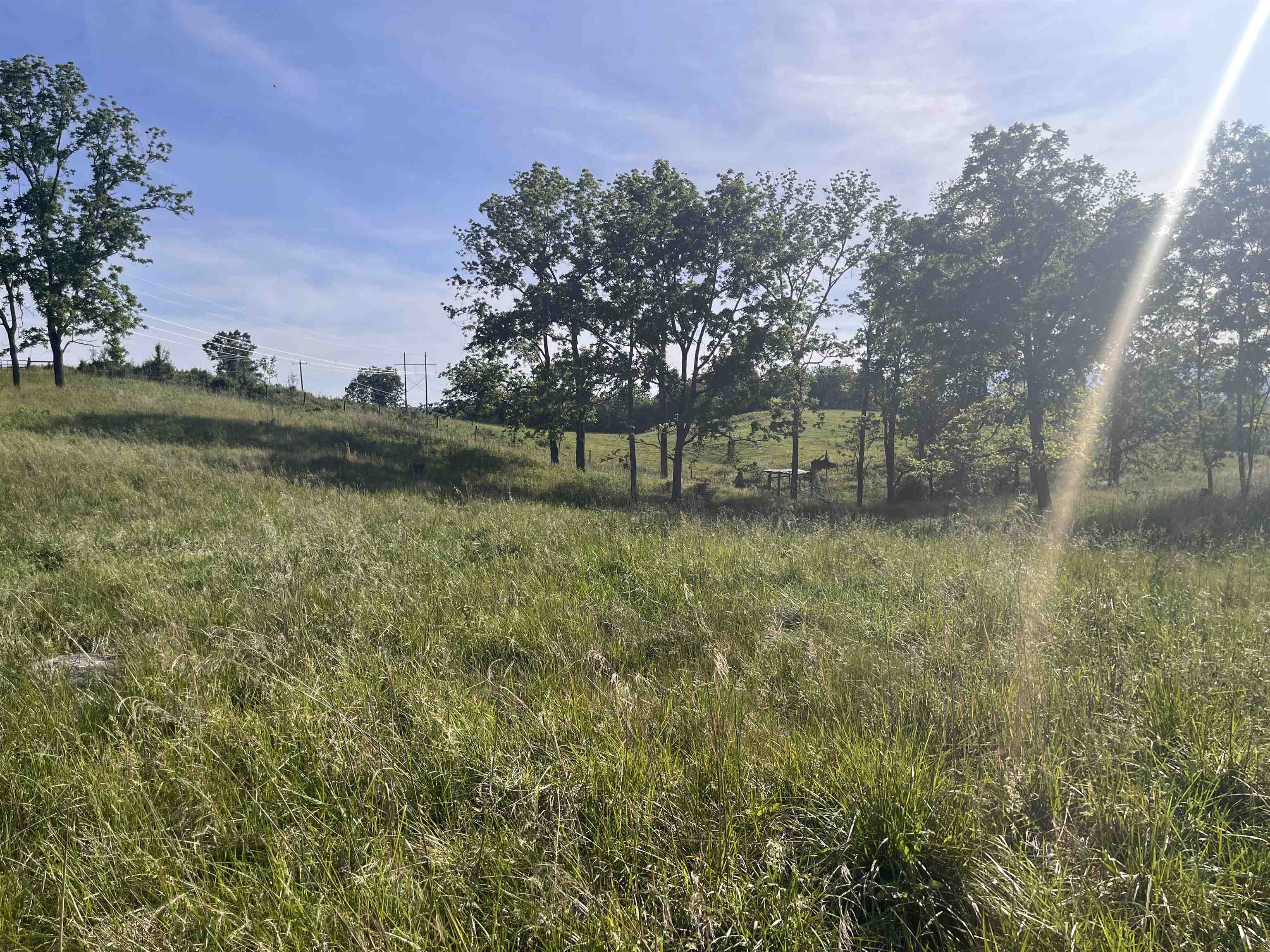 TBD GALENA RD, STAUNTON, Virginia 24401, ,Land,TBD GALENA RD,677827 MLS # 677827