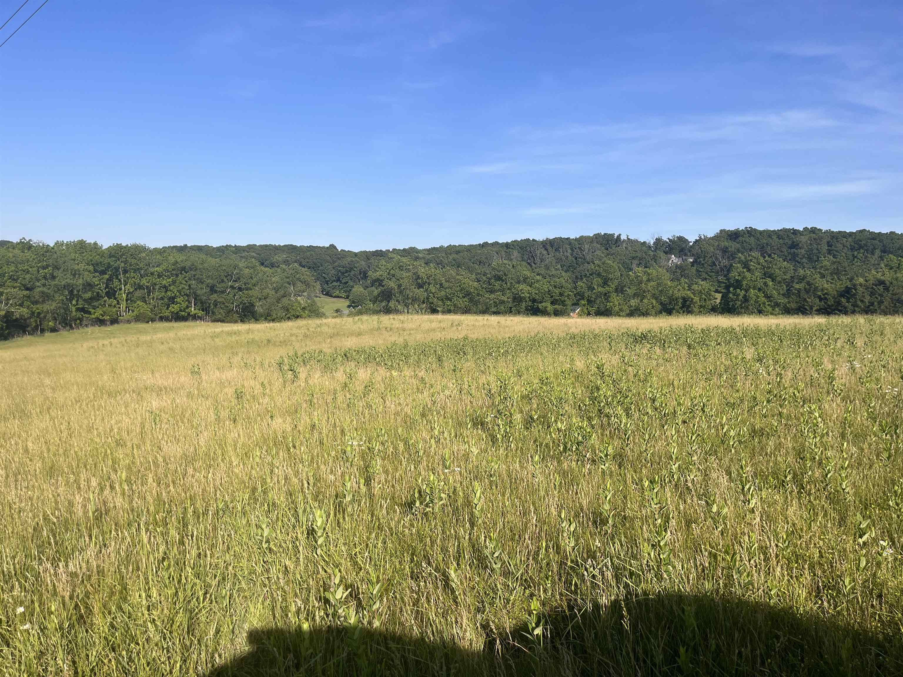 TBD GALENA RD, STAUNTON, Virginia 24401, ,Land,TBD GALENA RD,677827 MLS # 677827
