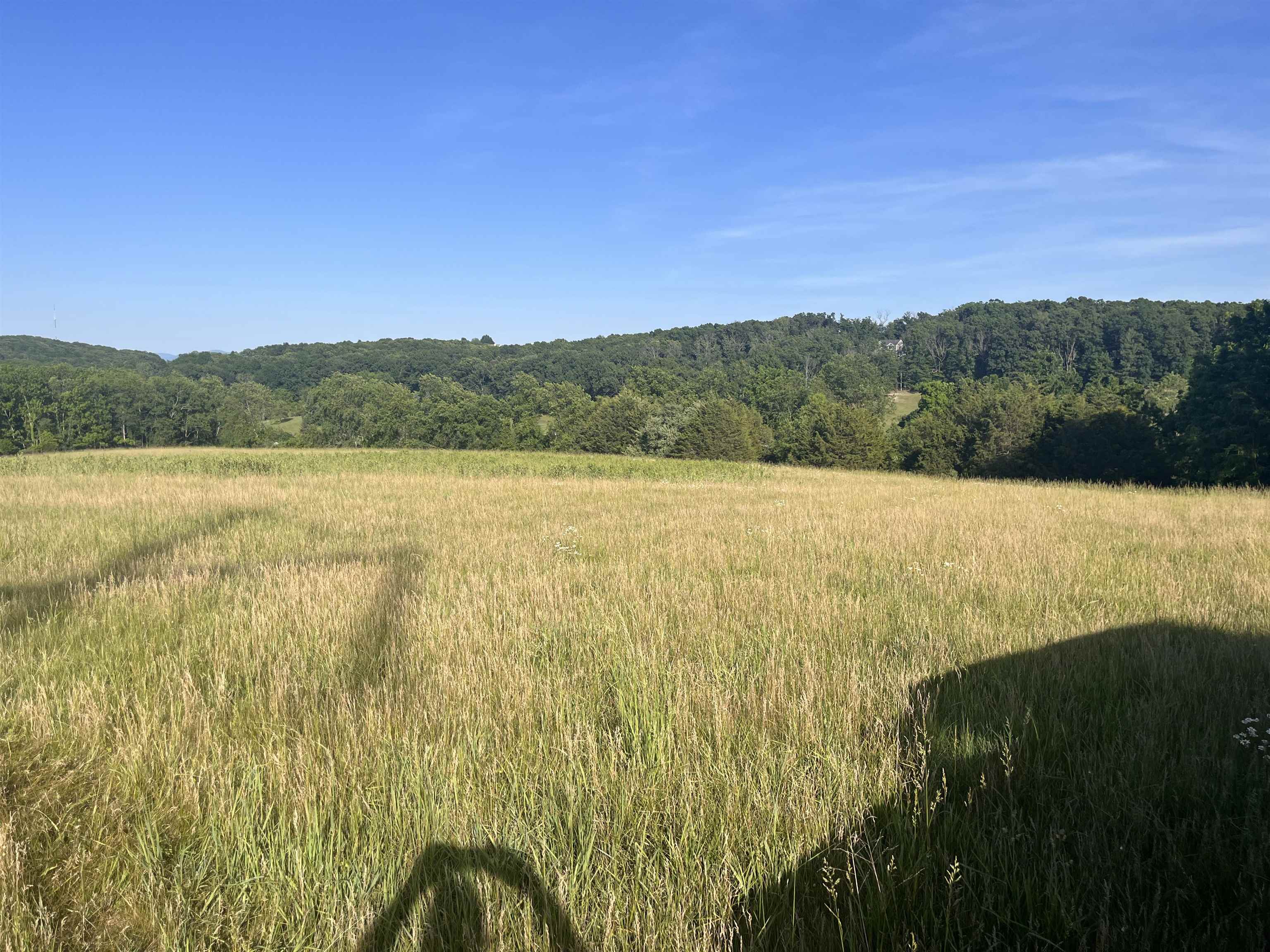 TBD GALENA RD, STAUNTON, Virginia 24401, ,Land,TBD GALENA RD,677827 MLS # 677827