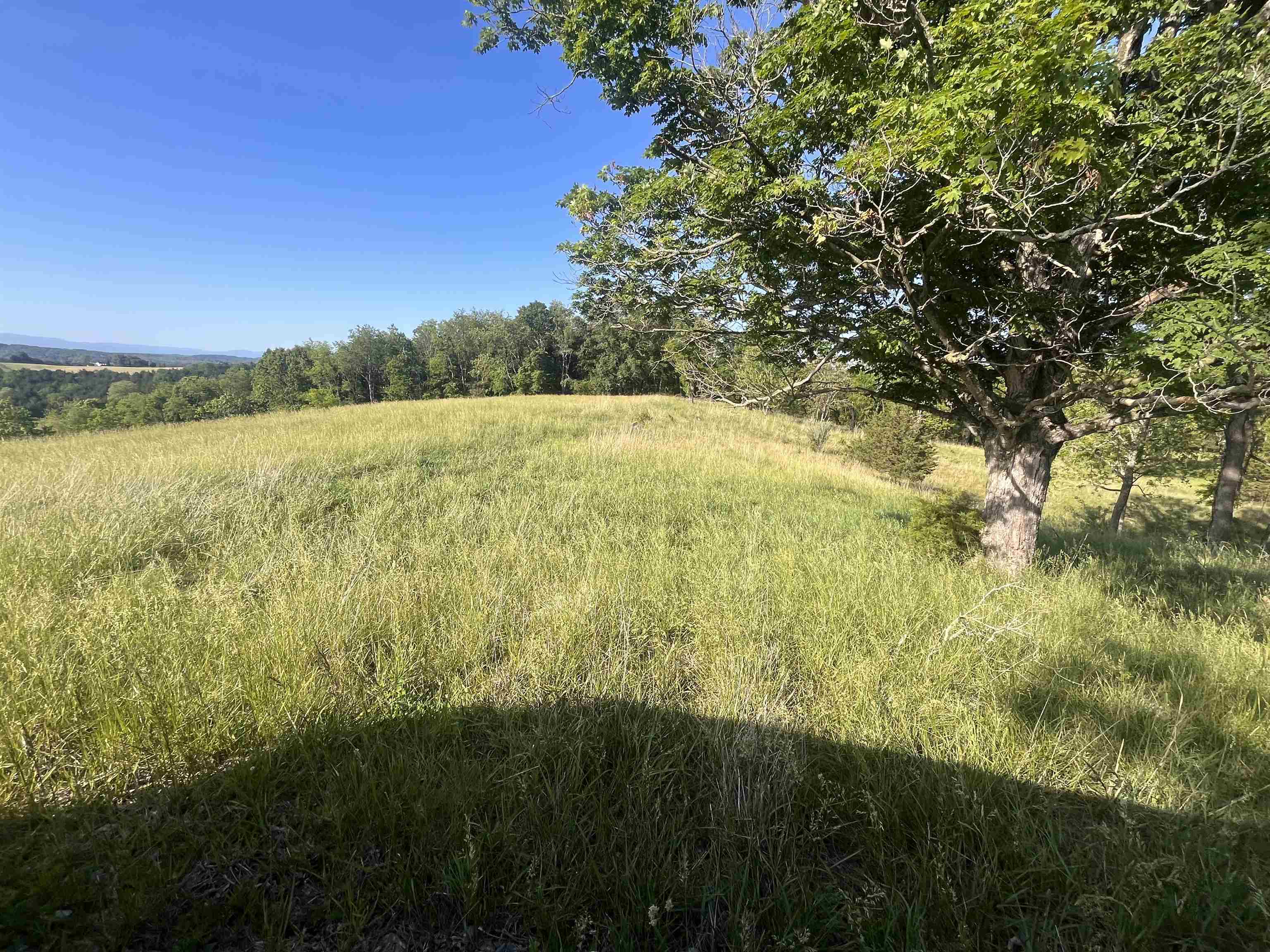 TBD GALENA RD, STAUNTON, Virginia 24401, ,Land,TBD GALENA RD,677827 MLS # 677827