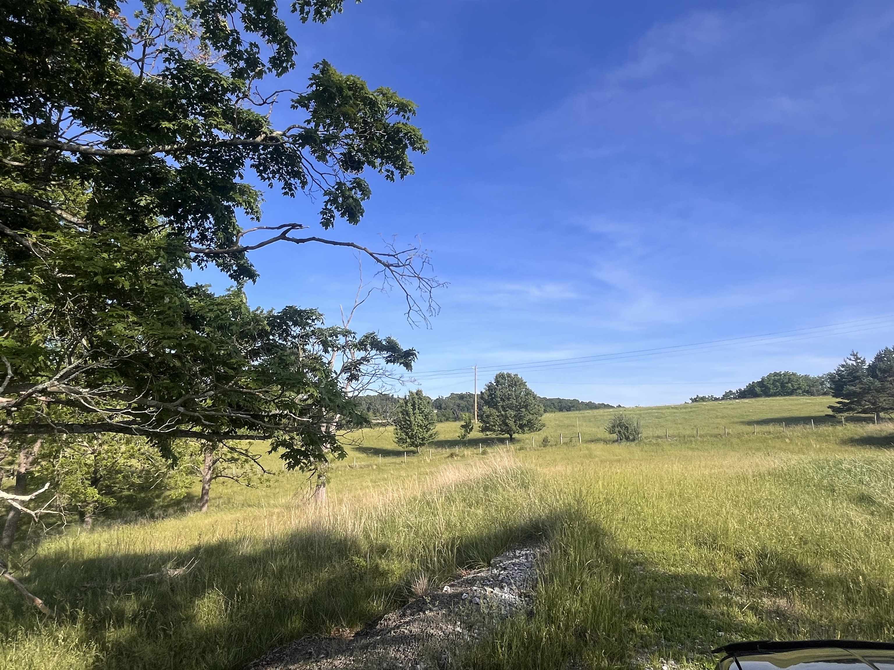 TBD GALENA RD, STAUNTON, Virginia 24401, ,Land,TBD GALENA RD,677827 MLS # 677827