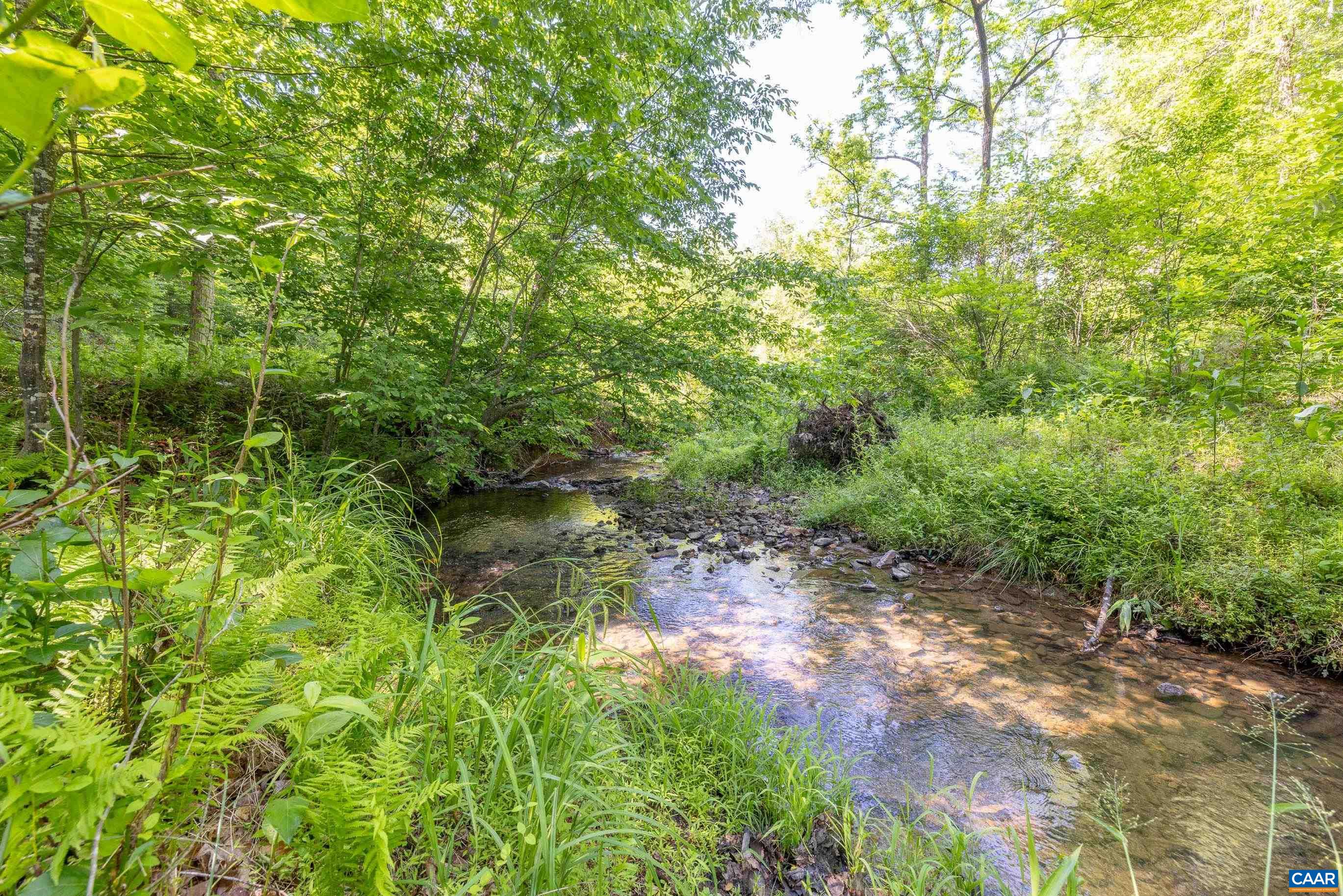 7676 OLD DOMINION RD, SCHUYLER, Virginia 22969, ,Land,The Forest Sanctuary,7676 OLD DOMINION RD,677832 MLS # 677832
