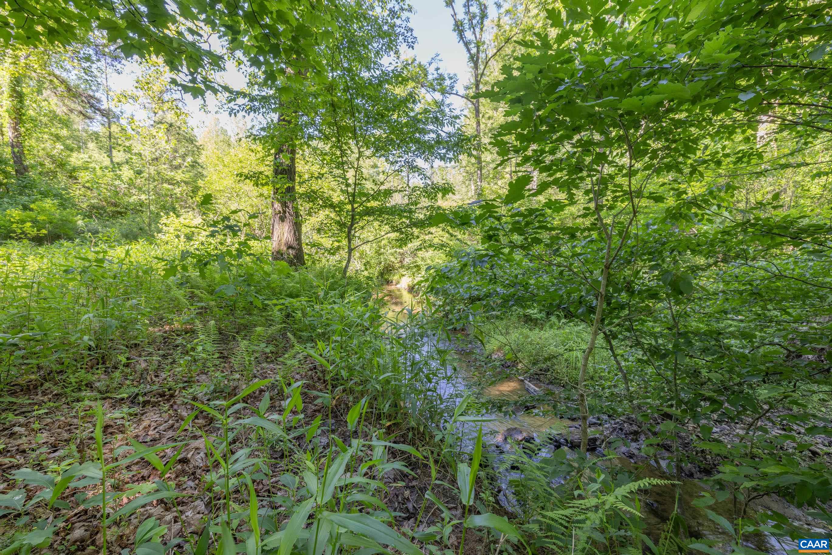 7676 OLD DOMINION RD, SCHUYLER, Virginia 22969, ,Land,The Forest Sanctuary,7676 OLD DOMINION RD,677832 MLS # 677832