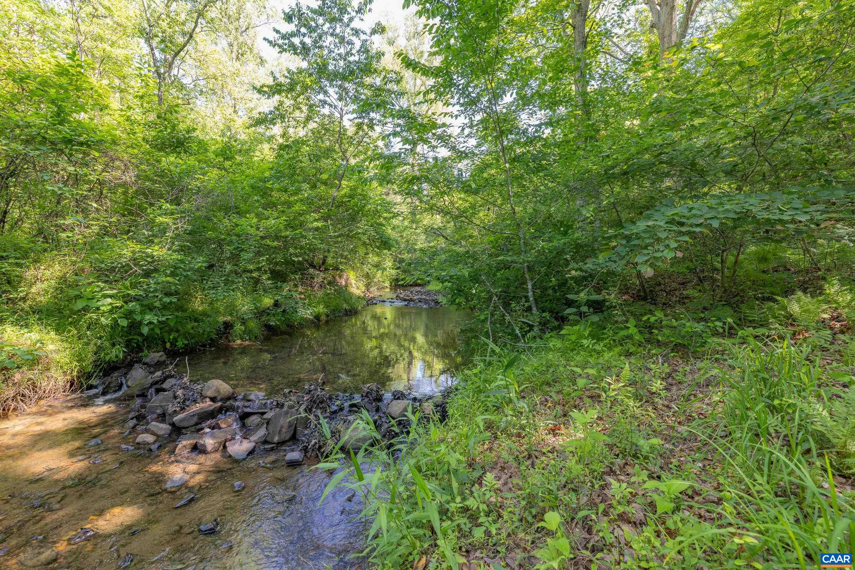 7676 OLD DOMINION RD, SCHUYLER, Virginia 22969, ,Land,The Forest Sanctuary,7676 OLD DOMINION RD,677832 MLS # 677832
