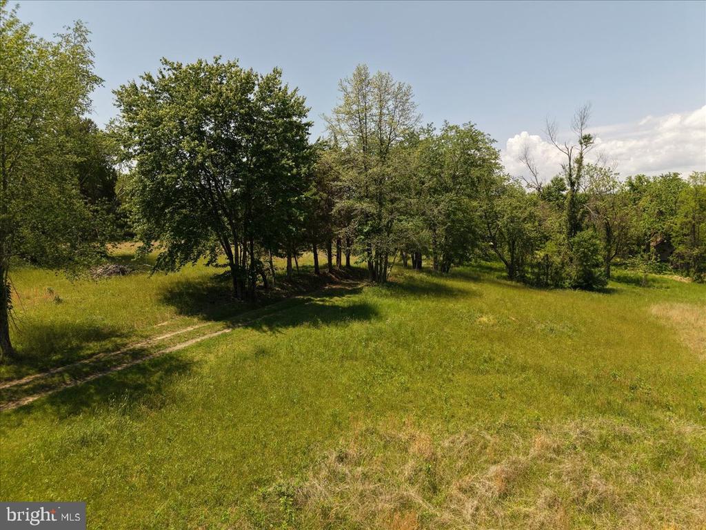 4266 INDIAN RUN RD, AMISSVILLE, Virginia 20106, ,Farm,4266 INDIAN RUN RD,VACU2013692 MLS # VACU2013692 4266 INDIAN RUN RD, AMISSVILLE, Virginia 20106, ,Farm,4266 INDIAN RUN RD,VACU2013692 MLS # VACU2013692