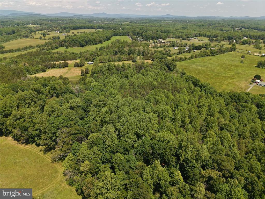4266 INDIAN RUN RD, AMISSVILLE, Virginia 20106, ,Farm,4266 INDIAN RUN RD,VACU2013692 MLS # VACU2013692 4266 INDIAN RUN RD, AMISSVILLE, Virginia 20106, ,Farm,4266 INDIAN RUN RD,VACU2013692 MLS # VACU2013692