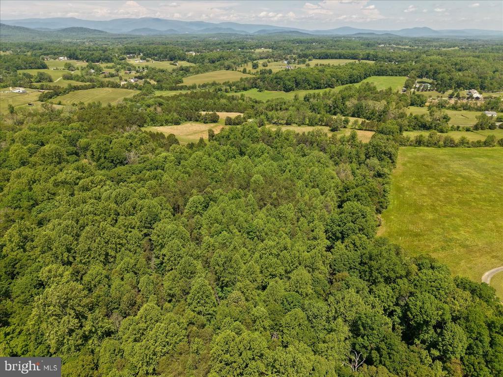 4266 INDIAN RUN RD, AMISSVILLE, Virginia 20106, ,Farm,4266 INDIAN RUN RD,VACU2013692 MLS # VACU2013692 4266 INDIAN RUN RD, AMISSVILLE, Virginia 20106, ,Farm,4266 INDIAN RUN RD,VACU2013692 MLS # VACU2013692