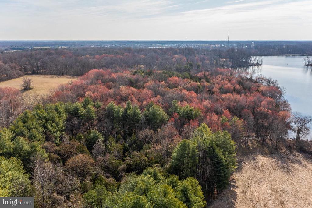 RILEY ROAD, WARRENTON, Virginia 20187, ,Land,RILEY ROAD,VAFQ2022326 MLS # VAFQ2022326 RILEY ROAD, WARRENTON, Virginia 20187, ,Land,RILEY ROAD,VAFQ2022326 MLS # VAFQ2022326
