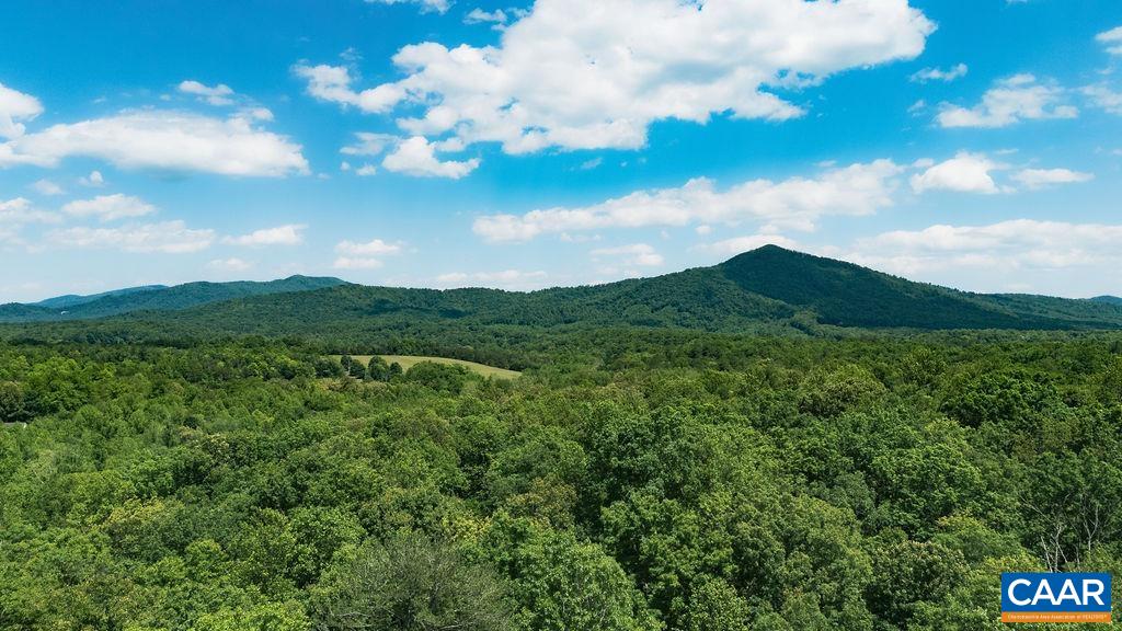 35 IRONWOOD LN, NELLYSFORD, Virginia 22958, ,Land,35 IRONWOOD LN,677851 MLS # 677851