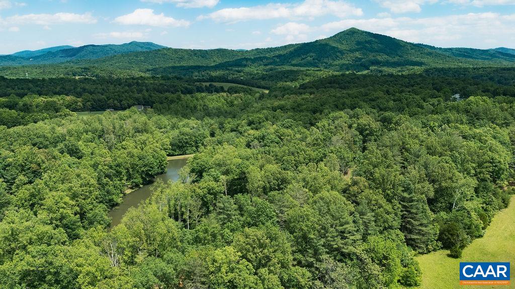 35 IRONWOOD LN, NELLYSFORD, Virginia 22958, ,Land,35 IRONWOOD LN,677851 MLS # 677851