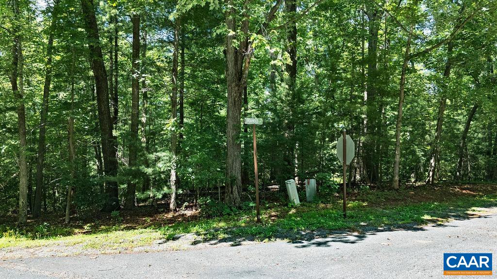 35 IRONWOOD LN, NELLYSFORD, Virginia 22958, ,Land,35 IRONWOOD LN,677851 MLS # 677851
