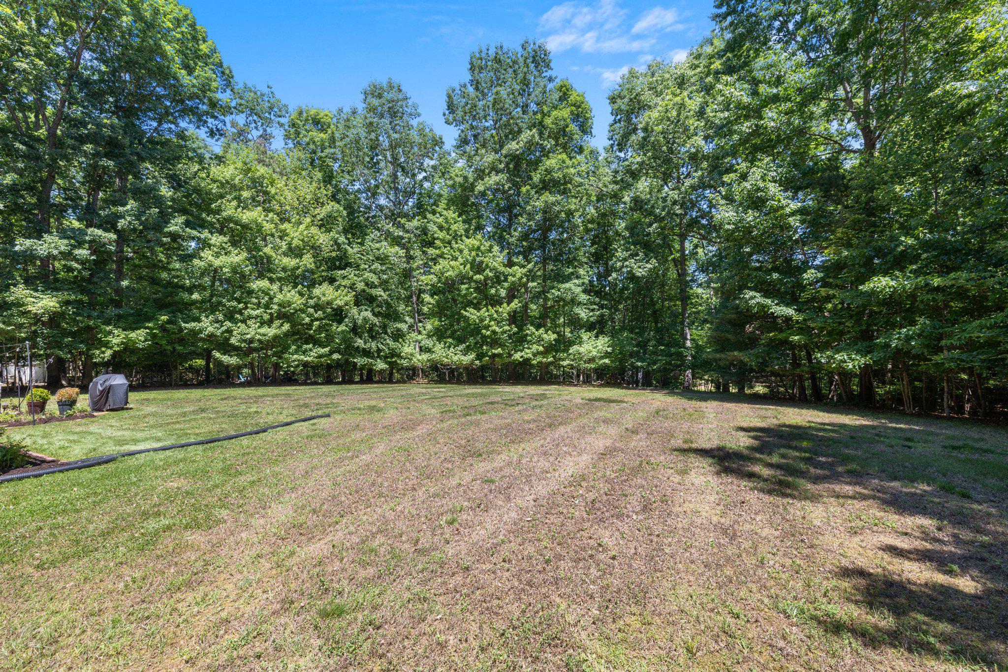 801 MITCHELL POINT RD, MINERAL, Virginia 23117, 4 Bedrooms Bedrooms, ,3 BathroomsBathrooms,Residential,801 MITCHELL POINT RD,VALA2009788 MLS # VALA2009788