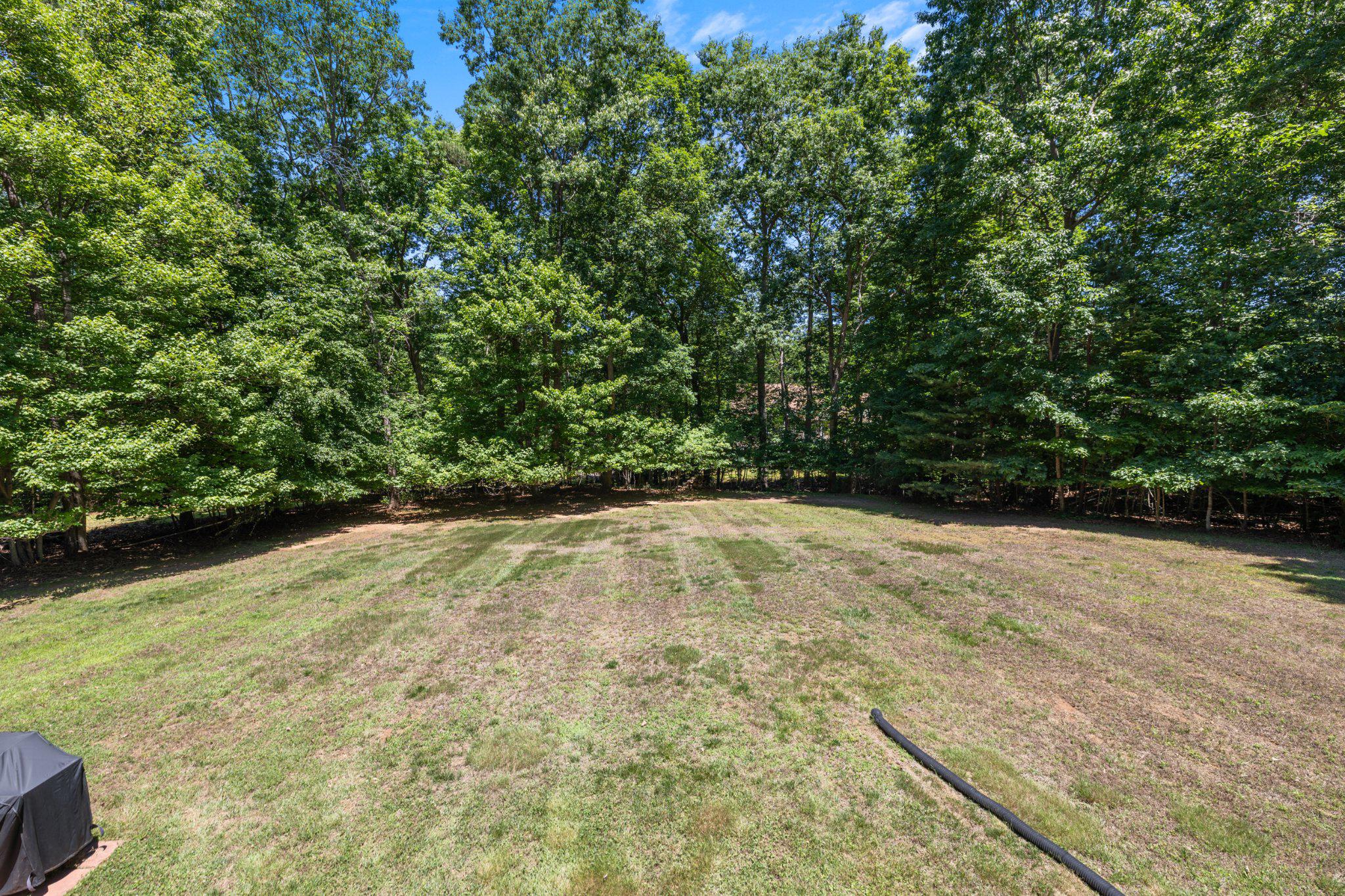 801 MITCHELL POINT RD, MINERAL, Virginia 23117, 4 Bedrooms Bedrooms, ,3 BathroomsBathrooms,Residential,801 MITCHELL POINT RD,VALA2009788 MLS # VALA2009788